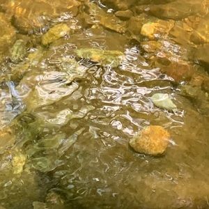 Meet your Posher, Will